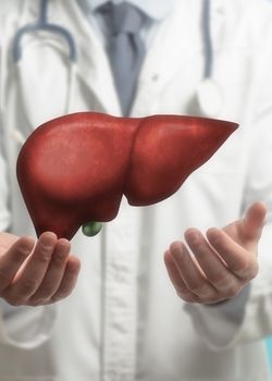 Doctor showing healthy liver
